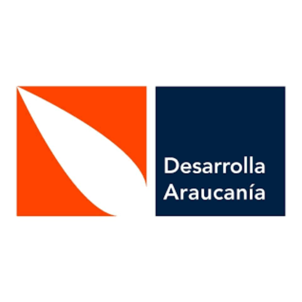20 desarrolla araucania