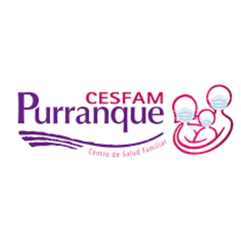 35 cesfam purranque